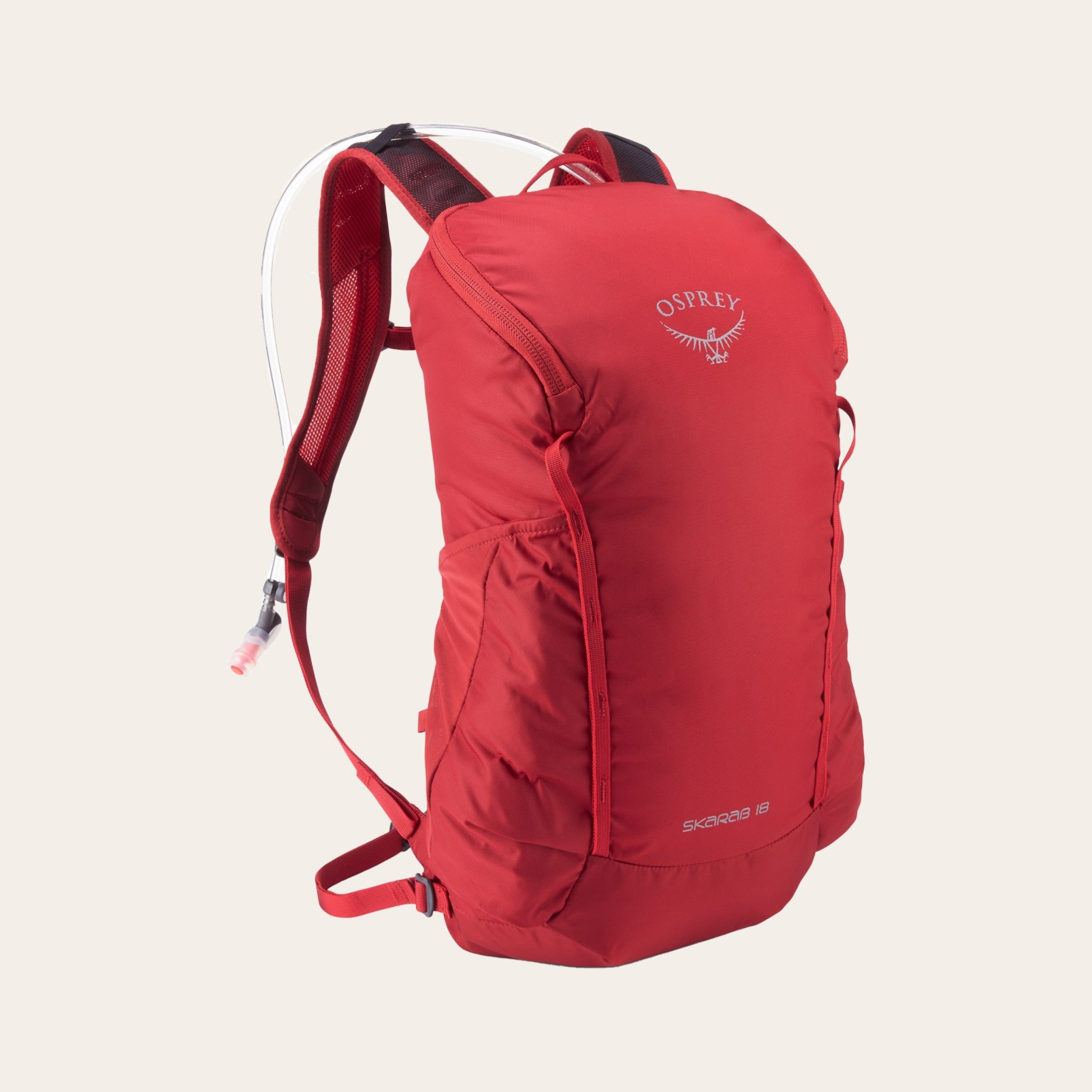 Rei Hiking Backpack