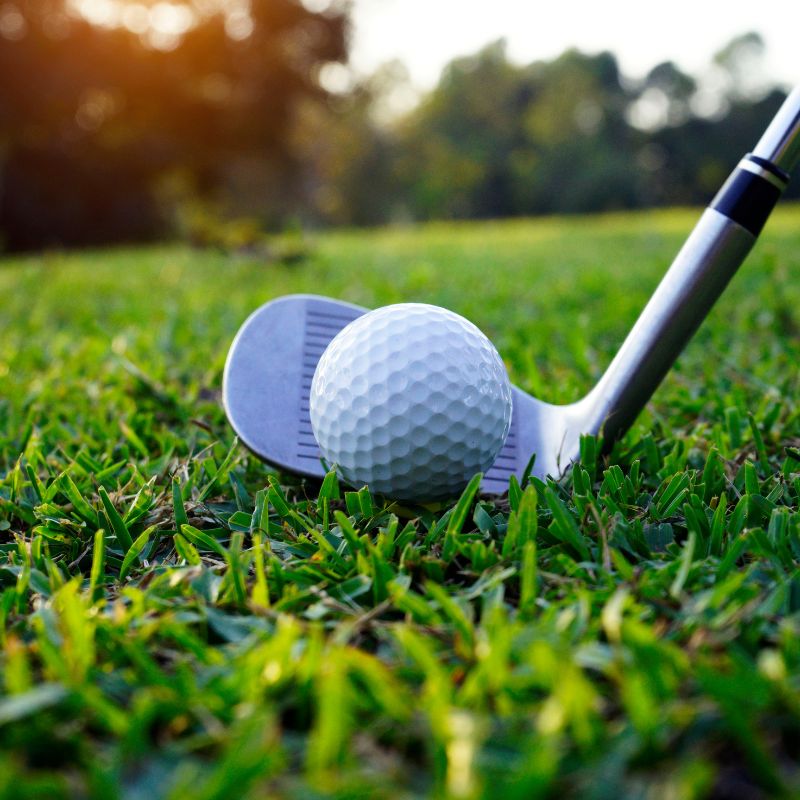 albatross golf