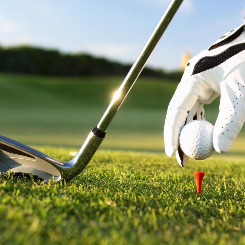 albatross golf
